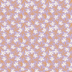 Aztec Pearl Flower - Lilac