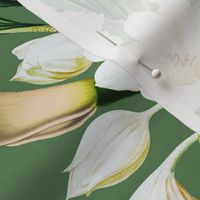 vintage white tropical antique magnolia flowers, exotic blossoms, green palm leaves,green