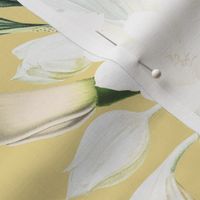 vintage white tropical antique magnolia flowers, exotic blossoms, green palm leaves,yellow