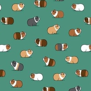 (small scale) Guinea pigs - green - C22