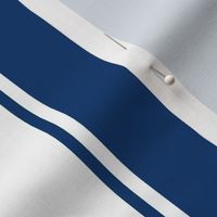 Blue Large French  Awning Stripe 