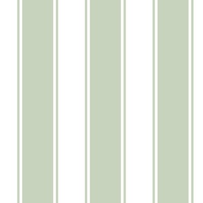Light Quiet Green Large French  Awning Stripe 