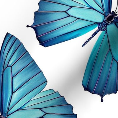 Blue Morpho Butterfly on White Medium