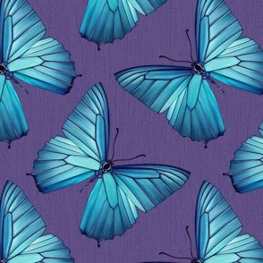 Blue Morpho on Grape Linen Medium