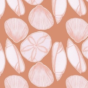 Terracotta Oeach Seashells