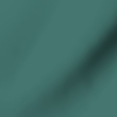 Dark Teal Winter 457670 solid color