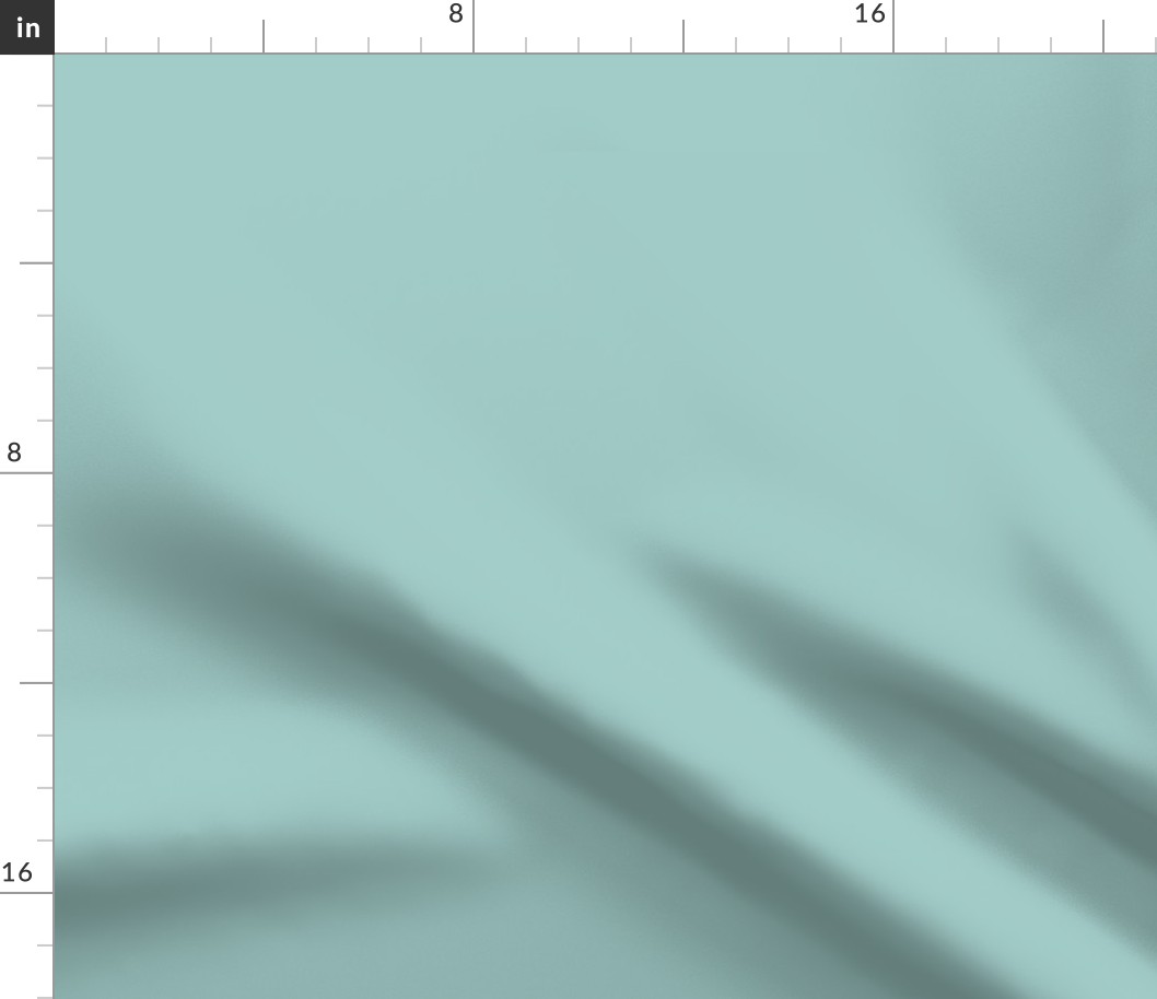 Light Teal Winter a1cbc6 solid color