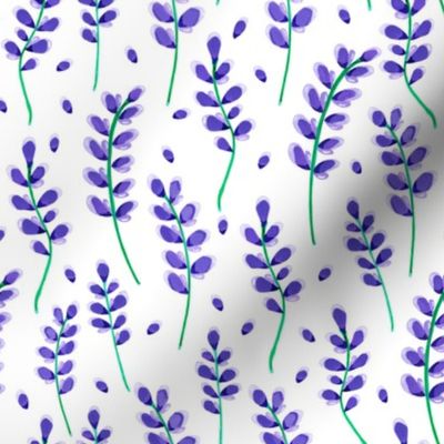 Purple lavender on a white background
