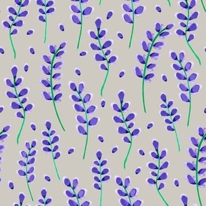 Purple lavender on a grey background 
