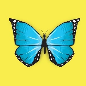 Blue Butterfly