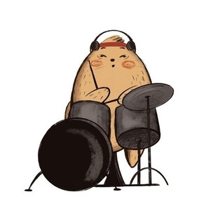 Drums Cat