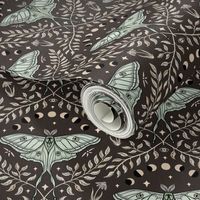 Luna Moths Damask with moon phases - Chocolate brown - small