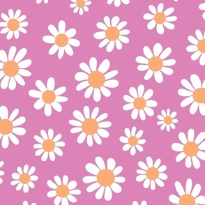 Joyful White Daisies - Large Scale -Pink background Orange Vintage Flowers Floral