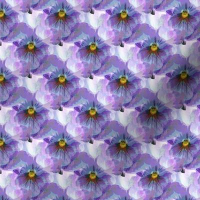 Blue violet pansy (s)