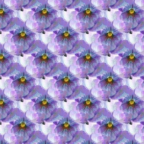 Blue violet pansy (s)