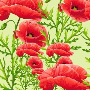 Poppy Flowers small