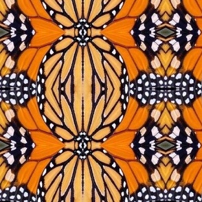 AJ MONARCH BUTTERFLY ABSTRACT GEOMETRICAL 10-JUMBO-MIRROR