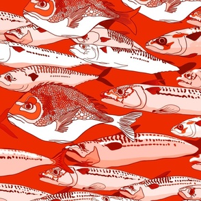 Fish in Red