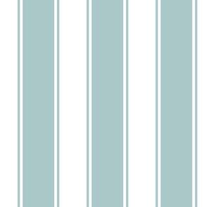 Robins Egg Large French Awning Stripe  copy