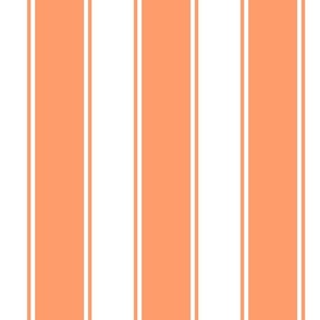 Light Orange Large French Awning Stripe  copy