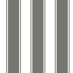 Amherst GrayLarge French Awning Stripe  copy 2