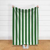 Emerald Large French Awning Stripe  copy