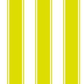 Citron Large French Awning Stripe  copy 2