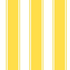 Bold Yellow Large French Awning Stripe  copy 2