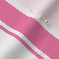 Valentine Pink Large French Awning Stripe  copy 4