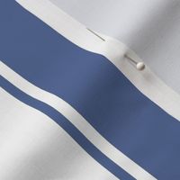 Periwinkle Blue Large French Awning Stripe  copy 4