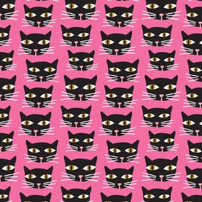 Black Cat | Sm Hot Pink