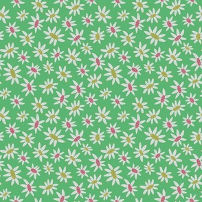 Green Flannel Flower