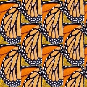 AJ MONARCH BUTTERFLY ABSTRACT 11-JUMBO-HALF DROP