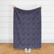 Navy Blue Flannel Flower