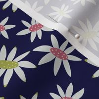 Navy Blue Flannel Flower