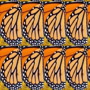 AJ MONARCH BUTTERFLY ABSTRACT 11-JUMBO-BASIC