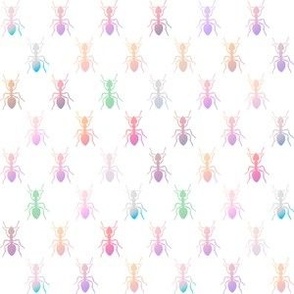 Colourful Ombre Ants Light Small