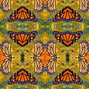 AJ MONARCH BUTTERFLY ABSTRACT 12