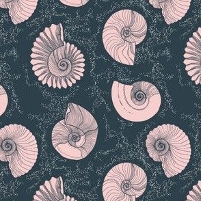 She sells seashells in navy and pink