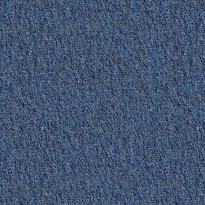 Classic Denim Blue Jean Texture