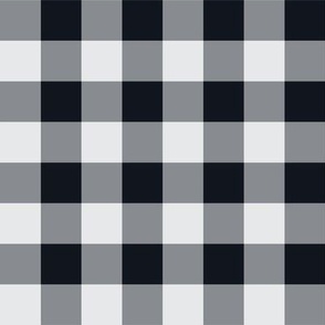 02 Graphite- Gingham- Medium- 1 Inch- Buffalo Plaid- Vichy Check- Checked Wallpaper- Petal Solids Coordinate- Halloween- Gray- Grey