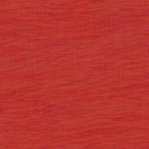 Ocean Linen Blender Poppy Red bd2920