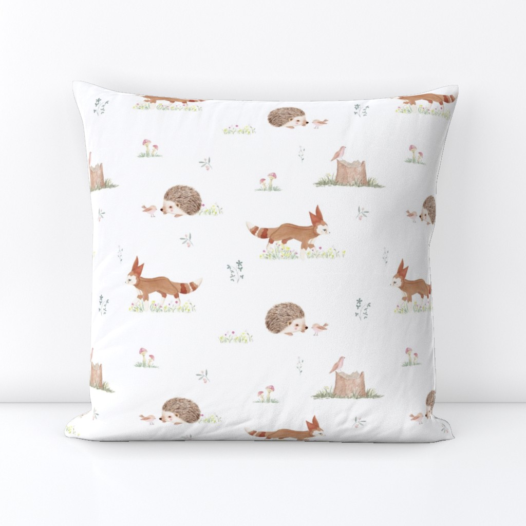 Hedgehog and fox / woodland