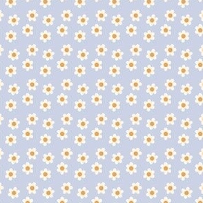 Daisy in periwinkle 1x1