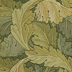 william morris acanthus leaves wallpaper