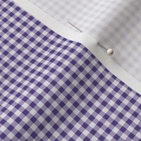 28 Grape- Gingham- Micro 1/8 Inch- Plaid- Check- Checked- Petal Solids- Cottagecore- Purple- Violet- Halloween