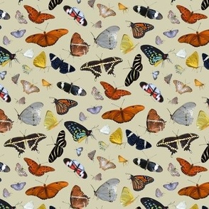Butterfly Montage on Beige Small Scale