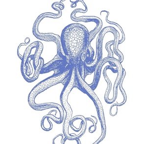 Octopus, Large Blue