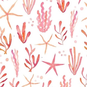 Coral pink and orange seaweeds