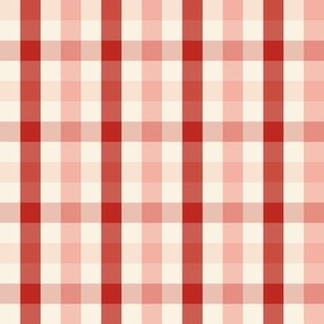 Rose Pink and Poppy Red Gingham Plaid